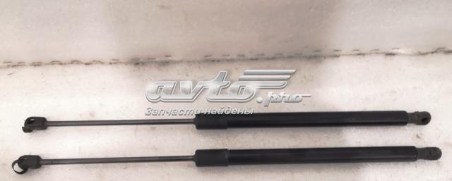 Газовый упор багажника 5GM827550C VAG