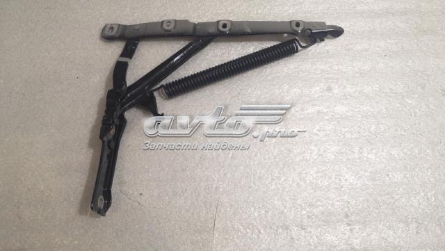 Петля капота, правая A2207501087 MERCEDES