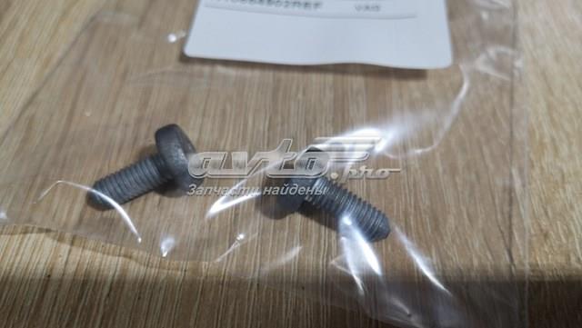 N10654902 VAG