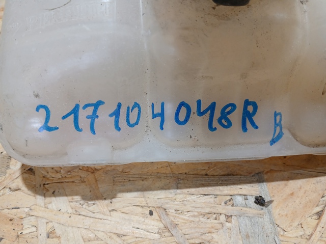 RENAULT 217104048R в наличии Павлоград