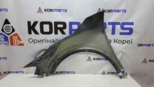 HYUNDAI 66320P1000 Крыло переднее правое в наличии Ровно