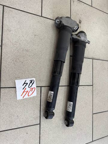 Амортизатор задней подвески 1EA513049AF VAG