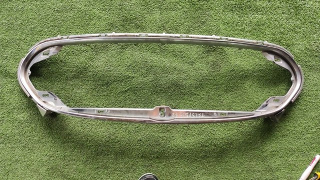 Рамка решетки переднего бампера 101741400D TESLA