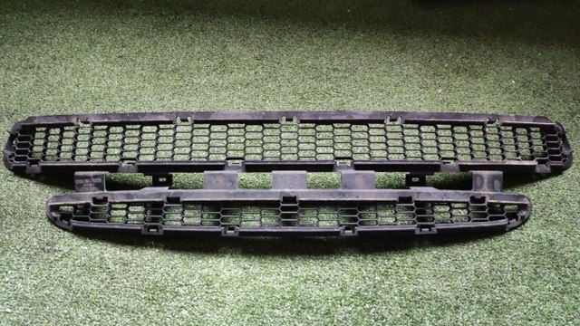 6008159 TESLA Решетка бампера переднего купить в Хмельницкий