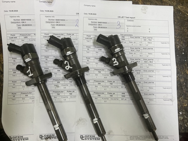 Форсунки Citroen C5 1