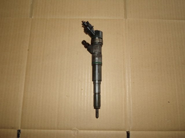 Топливные форсунки 0445110030 BOSCH