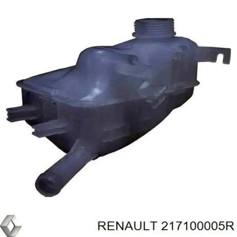 Водяной бачок системы охлаждения 217100005R RENAULT