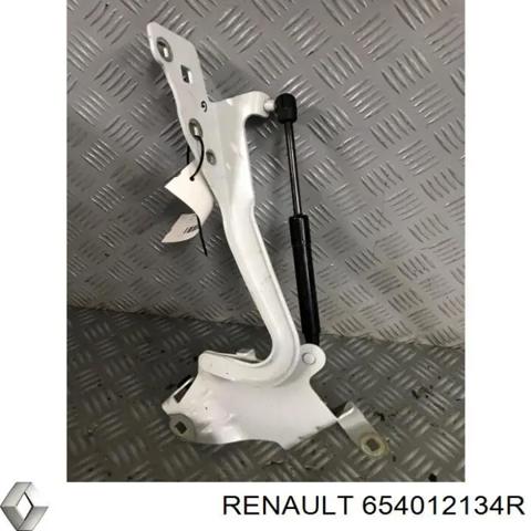 654012134R RENAULT Петля капота левая купить в Павлоград