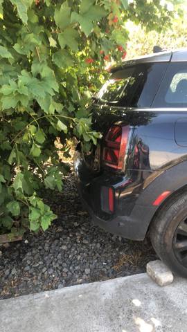 Крыло правое заднее 41007449348 BMW