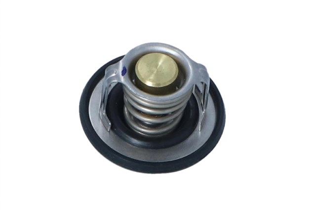 NRF 725208 Термостат в наличии Ужгород