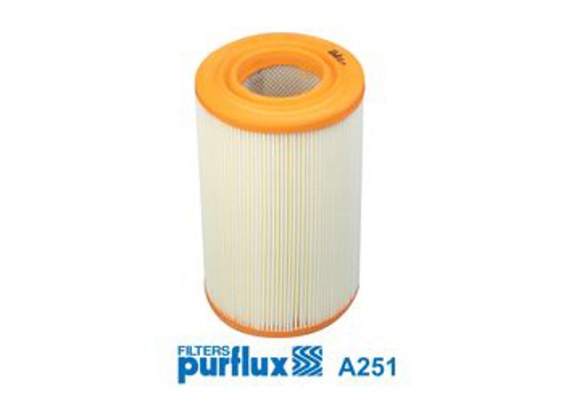 Воздушный фильтр двигателя A251 PURFLUX