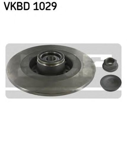 Тормозной диск VKBD1029 SKF