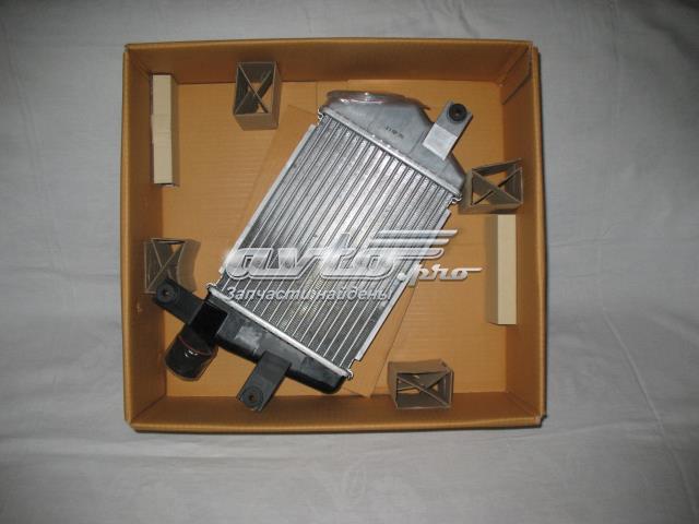 MN135001 Интеркулер купить Сумы