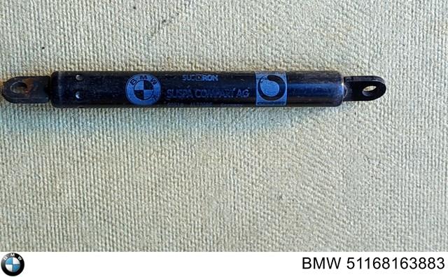 Амортизатор крышки бардачка 51168163883 BMW