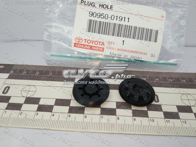 9095001911 купить Черновцы
