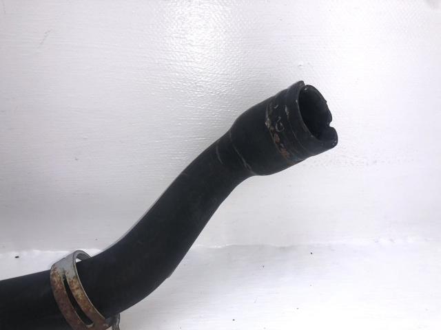 31293553 VOLVO Шланг (патрубок) радиатора охлаждения верхний купить в Винница
