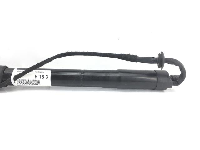 31457566 VOLVO Амортизатор багажника купить в Львов
