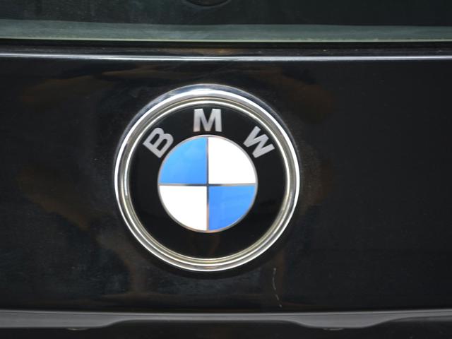 41003452197 BMW Дверь задняя (багажная 3/5-я (ляда) купить в Хмельницкий