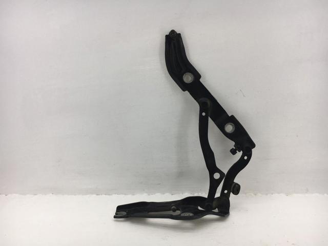 Шарнир крышки багажника 41627210676 BMW