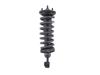 Амортизаторы передние 56100EB39C NISSAN