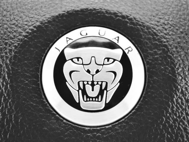 C2Z11767LEG JAGUAR купить в Ужгород