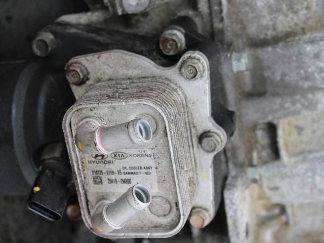 G4FP HYUNDAI Двигатель купить в Житомир