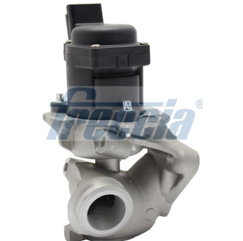 EGR12107 FRECCIA Клапан ЕГР купить в Одесса