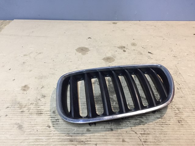Решетка радиатора левая 51137113733 BMW