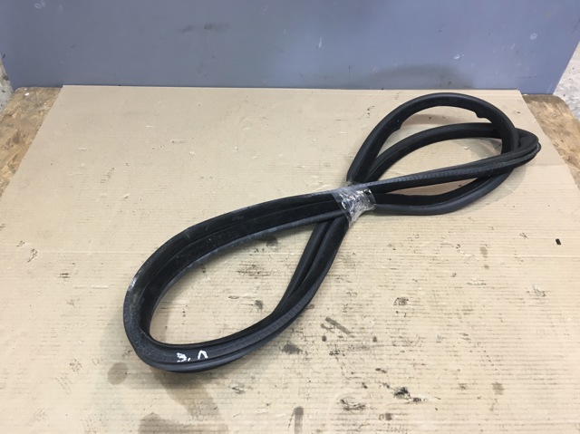 Уплотнитель двери задней, (на кузове) 51727025580 BMW