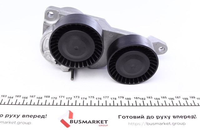INA 534031910 Натяжитель приводного ремня в наличии Хмельницкий