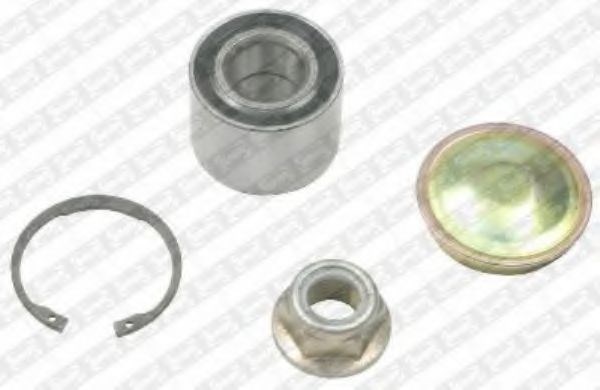 SNR R15563 Подшипник ступицы задней в наличии Николаев