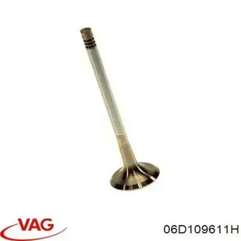 VAG 06D109611H Клапан выпускной в наличии Ирпень