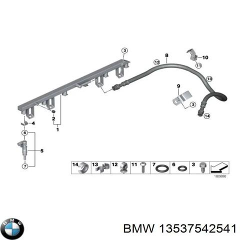 BMW 13537542541 Распределитель топлива (рампа) в наличии Харьков