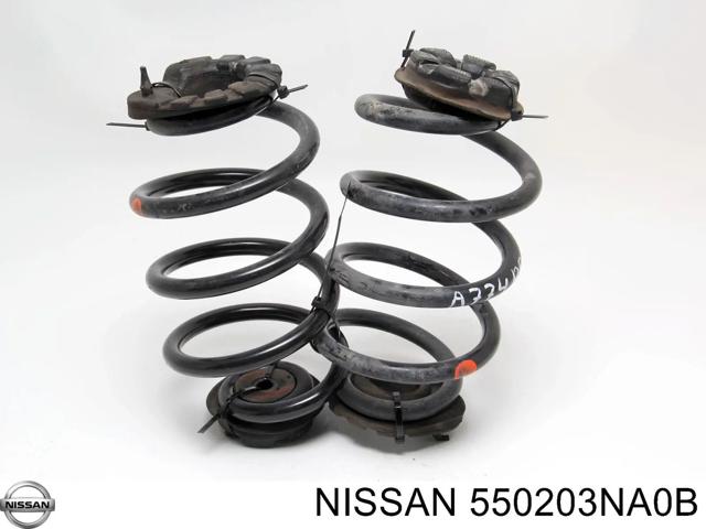 NISSAN 550203NA0B Задняя пружина в наличии Каменское