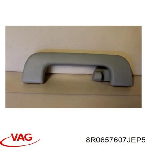 Ручка салона, крыши 8R0857607JEP5 VAG