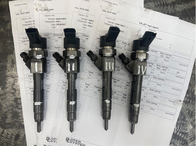 Форсунки 0445110021 RENAULT