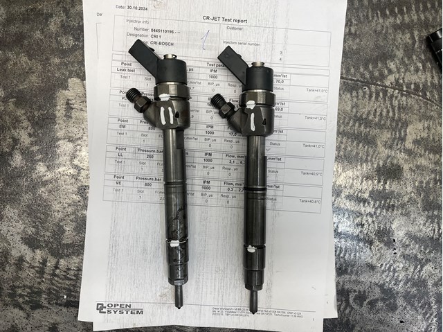 BOSCH 0445110196 Форсунка впрыска топлива в наличии Киев