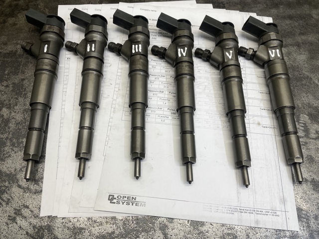 0445110216 BMW Форсунка впрыска топлива купить в Каменское