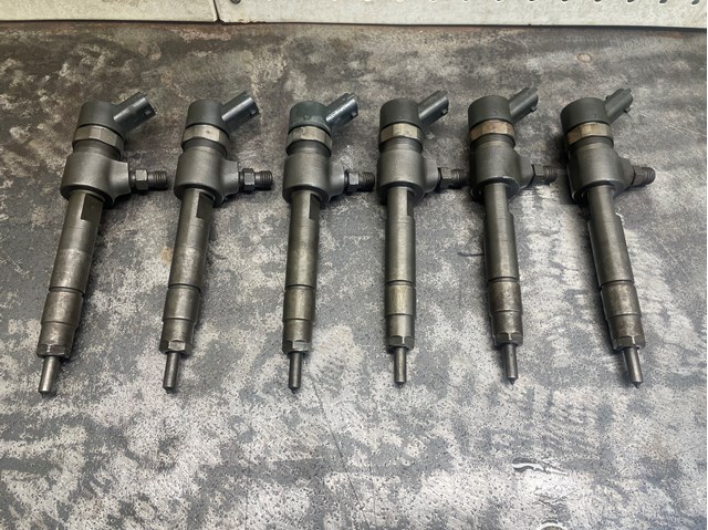 BOSCH 0445110244 Топливные форсунки в наличии Кривой Рог