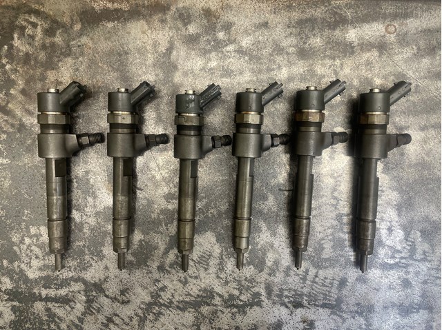 BOSCH 0445110244 Форсунка впрыска топлива в наличии Кривой Рог