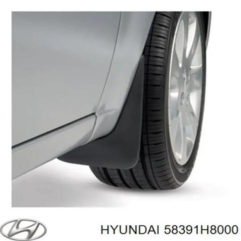 HYUNDAI 58391H8000 Защита тормозного диска заднего правая в наличии Павлоград