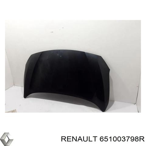 RENAULT 651003798R Капот в наличии Черновцы