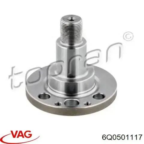 Поворотный кулак задний 6Q0501117 VAG