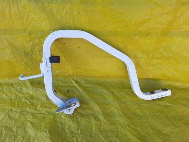 RENAULT 904019455R Петля крышки багажника в наличии Полтава