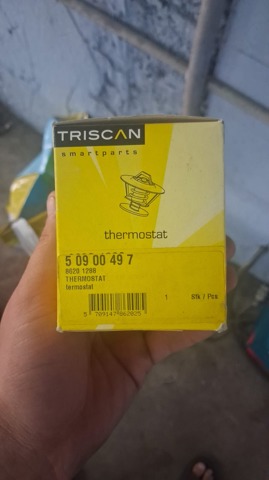 Термостат в сборе 86201288 TRISCAN