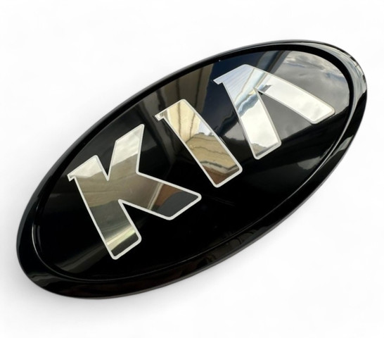 863183R500 Эмблема бампера переднего купить Запорожье