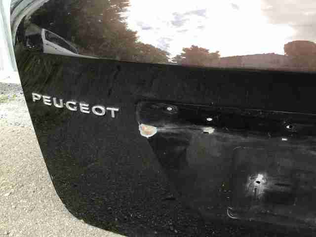 PEUGEOT 8701AG в наличии Сумы