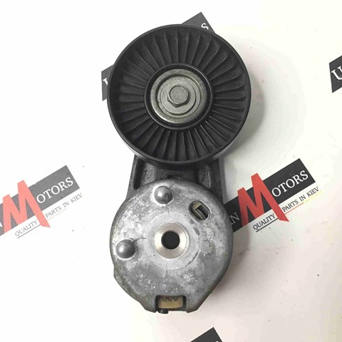 DX236B209BA Натяжитель приводного ремня купить Запорожье