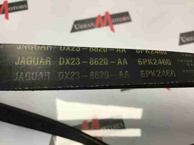 JAGUAR DX238620AA Ремень агрегатов приводной, комплект в наличии Запорожье