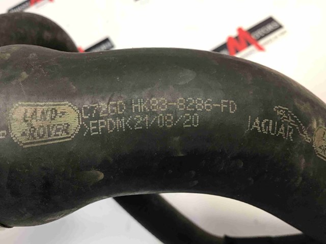 T4A16696 JAGUAR купить в Кривой Рог